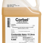 corbel