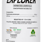 explorer