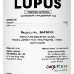 lupus