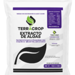 terracrop-algas